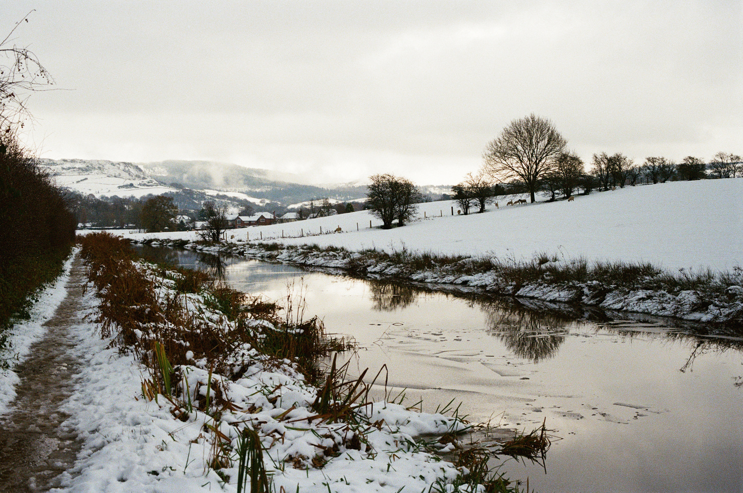 A photo looking along a canal. On the near side, a well-traveled footpath covered in half-melted snow. On the far bank, large fields are covered in fresh snow, and a few sheep can be seen grazing. In the distance, the hills again tower high, almost disappearing into the clouds.